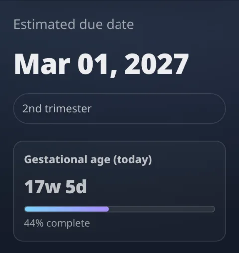 Example result: due date, trimester and pregnancy progress bar