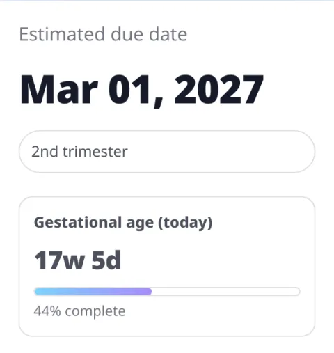 Example result: due date, trimester and pregnancy progress bar